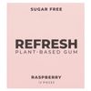 Plant-Based Gum, Raspberry, 12 Pieces