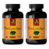 BLUE GREEN ALGAE 500mg - Stem Cell - Best Antioxidant - 2B