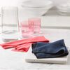 E-Cloth Granite & Stone Cleaning Kit, Microfibre, Black & Red, 2 Cloth Set, 1 Pack