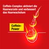 Alpecin C1 Caffeine Shampoo, 250 ml
