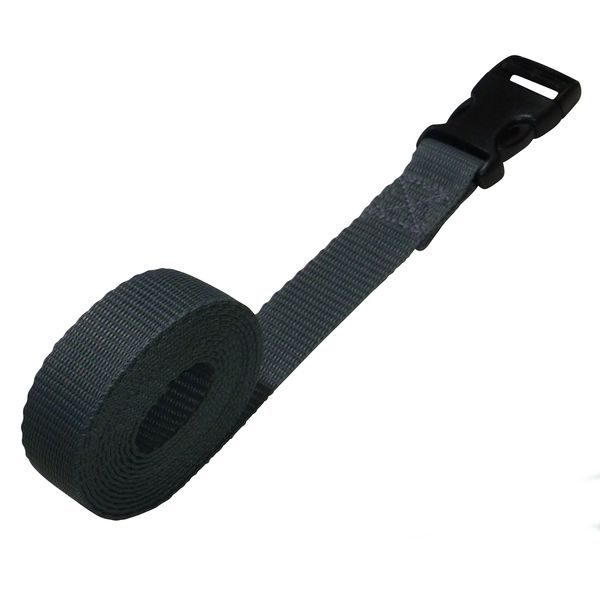 Benristraps 25mm Webbing Strap with Quick-Release Buckle (grey, 2 metres)