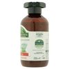 Antica Erboristeria Nettle-Sebum-Regulating Shampoo - 250 ml