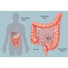 cleanse - COLON CLEANSE COMPLEX - colon cleanse capsules - 90 Capsules