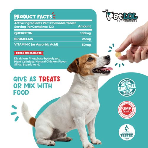 PET LOL Quercetin for Dogs with Bromelain and Vitamin C | 3-in-1 Supplement for Dog Allergies, Immune Support, Itch Relief, Promote Inflammatory Relief & Antioxidant Activity | 120 Chewable Tablets