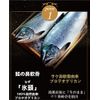 HBF Eternity Certy Enzyme 90 Capsules (30 Day Supply)
