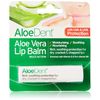Aloe Dent Aloe Vera Lip Balm 1-Pieces