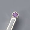 silver toothpick grapes black case