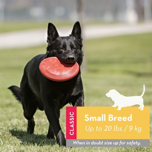 KONG - Flyer - Durable Rubber Flying Disc Dog Toy - For Small Dogs