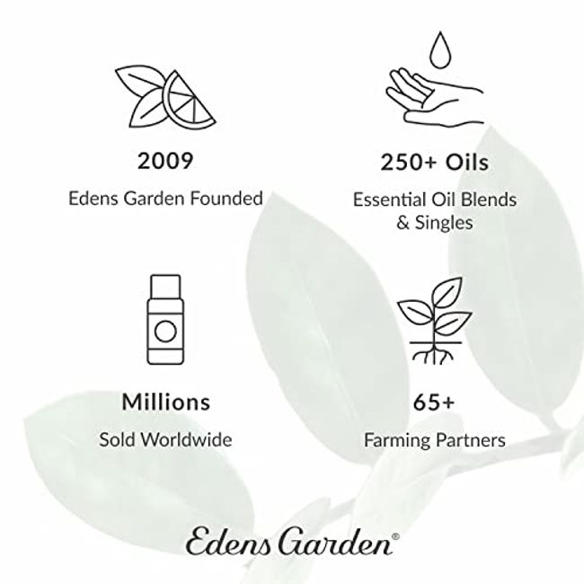 Edens Garden Coriander Seed Essential Oil, 100% Pure Therapeutic Grade  (Undiluted Natural/Homeopathic Aromatherapy Scented Essential Oil Singles)  10