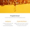 JMSOLUTION Honey Luminous Royal Propolis Toner XL BLAC
