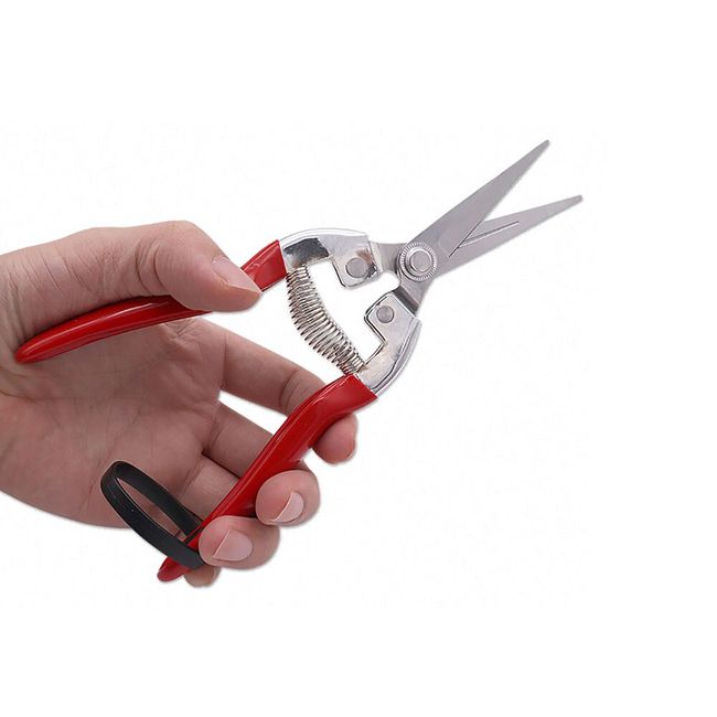 Portable Garden Stainless Pruning Shears Fruit Picking Scissors Household  Potted Trim Branches Small Gardening Tools