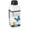 Polyvine Decorator's Dead Flat Varnish Pint / 500ml