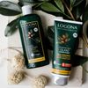 Logona Glanz Conditioner - Bio-Arganöl