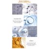 MSECVOI Collagen Lip Booster Plumping Serum Repair Lip Line Anti-Wrinkle Plump Enhancer Essence Hyaluronic Moisturizing Lip Treatment