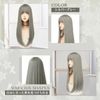 Hawkko Wig, Long, Straight, Full Wig, Natural, Cosplay, Women's Wig, Small Face, Popular, Heat Resistant, Harajuku Style, Fashion, Net Included (Silver Gray)