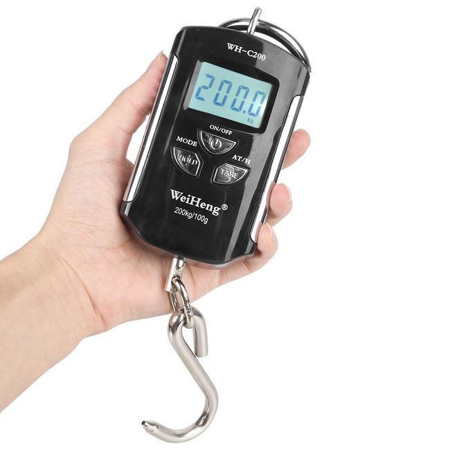 50KG 10g Electronic Portable Digital Scale Hanging Hook Fishing Travel  Double Precision Luggage Weight Scale Balance Scales - AliExpress
