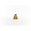 Schleich Wildlife Slow Loris 14852