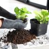 HERE Bottom Watering Pot "Small" Bottom Watering Pot