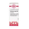Sambucus nigra D10 DHU Globuli, 10 g Globuli
