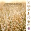 Kola Nut Capsules | Pure | Cola Acuminata | 600mg | Energy Boost
