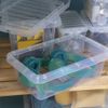 JMS we create smile [Pack of 25] Home Office Clear Plastic Stackable Storage Boxes & Lids (4 Litre)