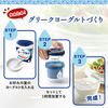 greek yogurt maker (quick)