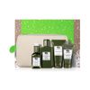 Origins mega mushroom set new in box