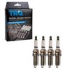 TRQ Spark Plug Set Compatible with Various Makes and Models