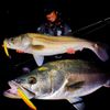 Katsuichi Decoy SN-14 EX Snap #3