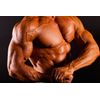 Nitric Oxide Bodybuilding - NITRIC OXIDE 3150mg - Improves Oxygenation 2B
