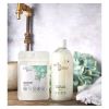 Milly&sissy zero waste Shower Creme shea tree 40g