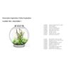 biOrb Sea urchin Set white