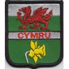 Wales Cymru Welsh Dragon and Daffodil Flag Embroidered Patch Badge