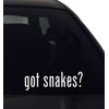 Decal got Snakes? Vinyl Sticker