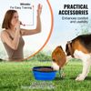 Dog Agility Training Kit Equipment 4PCS Set w/ Hurdles Jump Ring Pause Box