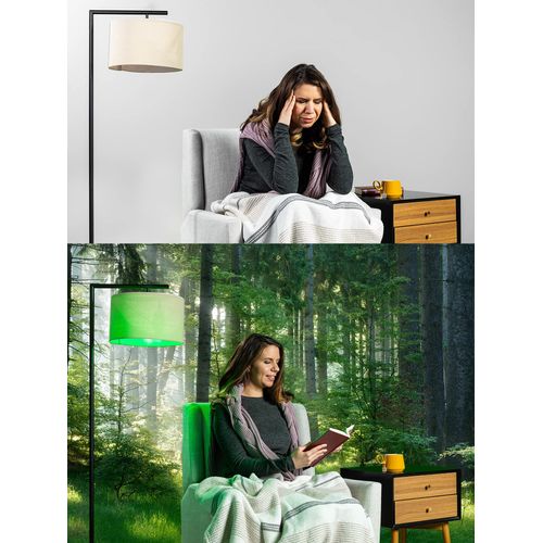 NorbRELIEF Green Light Therapy Migraine Relief Light Bulb, Research Proven Non-Drug Support for Migraine Pain. Product Patented in The U.S.A (4-Pack)