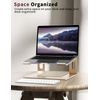 ALASHI Laptop Stand for Desk, Aluminum Computer Riser, Ergonomic Notebook Hol...