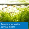 API ACCU-CLEAR Freshwater Aquarium Water Clarifier 118 ml Bottle