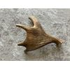 X-Large Dog Chew! Moose Antler! 2 Pounds!