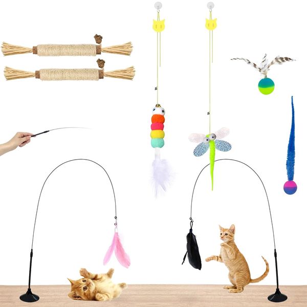 HylderS Interactive Cat Toys Indoor Cats,4PCS Retractable Cat Feather Toy, 2PCS Silvervine Sticks Catnip Toys for Teeth Cleaning,2PCS Bouncy Ball Cat Toy w/Tail,Kitten Toys for Chasing Exercise