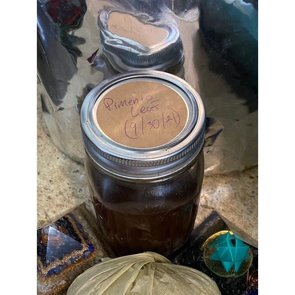 Organic Jamaican Pimento Leaf Tincture