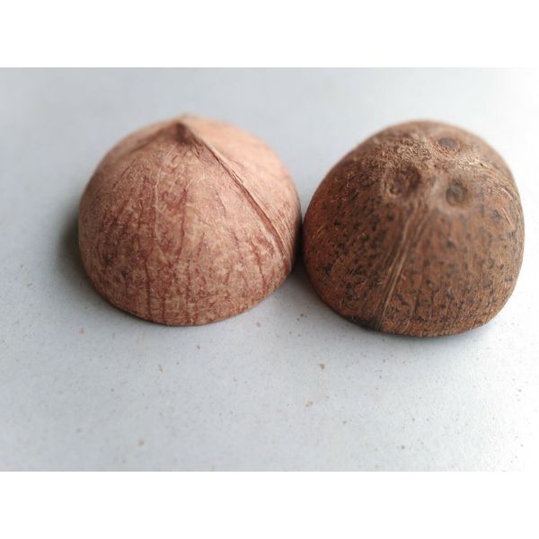 Coconut Shell Bowls Coconut Shell Halves Eco Friendly Cups Pet Feeder Two Bowls