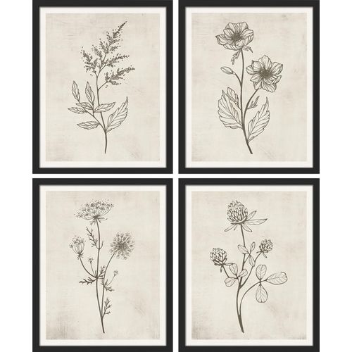 SIGNWIN Framed Poster Abstract Botanical Flowers Print Nature Illustration Decorative Country/Farmhouse Rustic Cozy Zen for Living Room, Bedroom, Office - 12"x16"x4 Black