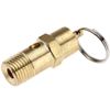 Micro Trader 145PSI 10BAR 1/4-Inch Brass Safety Valve Air Compressor Switch
