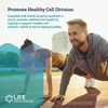 Life Extension Advanced Milk Thistle - With Silybin, Phosphatidylcholine and other Phospholipid - For Liver, Kidney Health & Detox - Non-GMO, Gluten-Free -120 Softgels