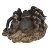 Tarantula Garden Statue Spider Garden Home Yard Decor Gift Option