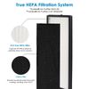 Flintar H13 True HEPA Replacement Filter, Compatible with Eureka NEA120 and T...