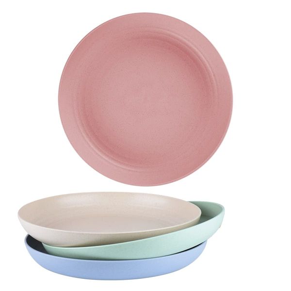 homchen Unbreakable Dinner Plates, 4 Pack 8.8" Plastic Plates Set for Family Party Picnic Home(8.8'')