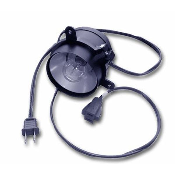 Specialty Lighting Incandescent Light w/Adjustable Mounting Ring