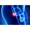 prostate health support-PROSTATE SUPPORT Complex-1B-stop painful urination